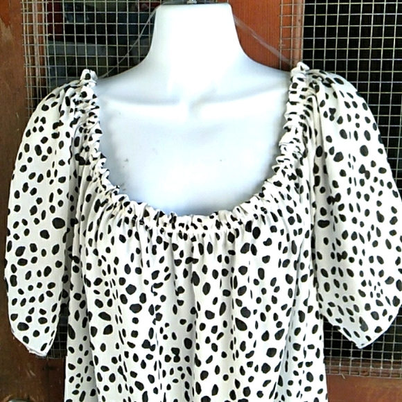 Tops - Nwt Black & White Blouse (2X)